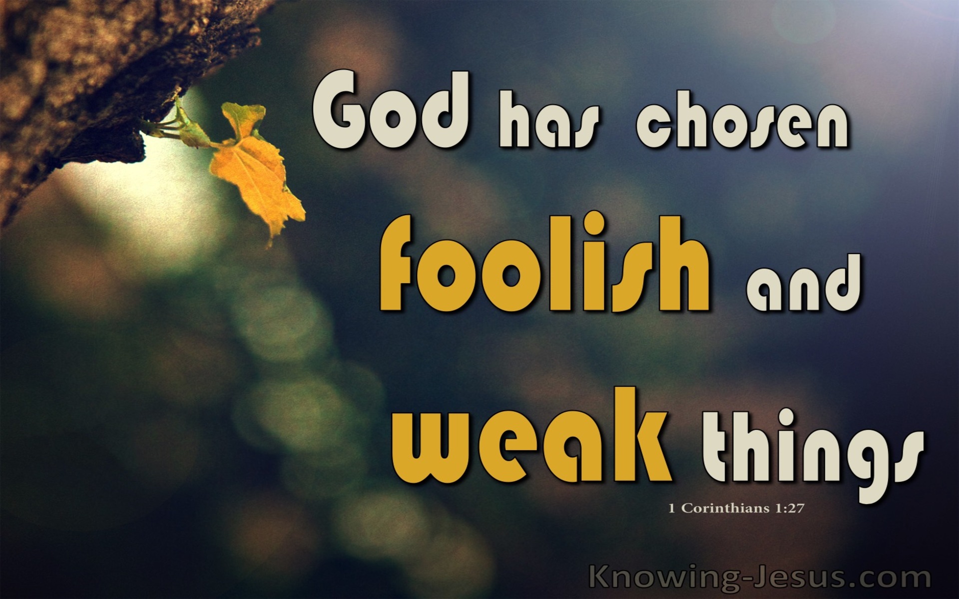 1 Corinthians 1:27 God Chose Foolish and Weak Things (brown)